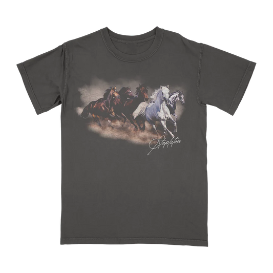 Limited Edition Chris Stapleton "All-American Road Show" Tshirt | PY11